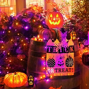 Halloween outdoor decoration with orange and purple string lights, jack-o-lantern, pumpkins, and a 'Trick or Treat' sign.