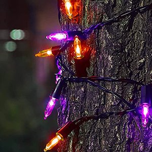 Halloween string lights with orange and purple bulbs wrapped around a tree trunk