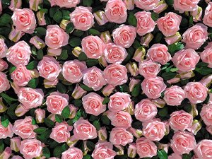 Close-up of a dense arrangement of pink artificial roses with green leaves.