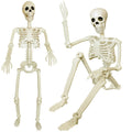 Two posable skeleton decorations, one standing and one sitting, against a white background.