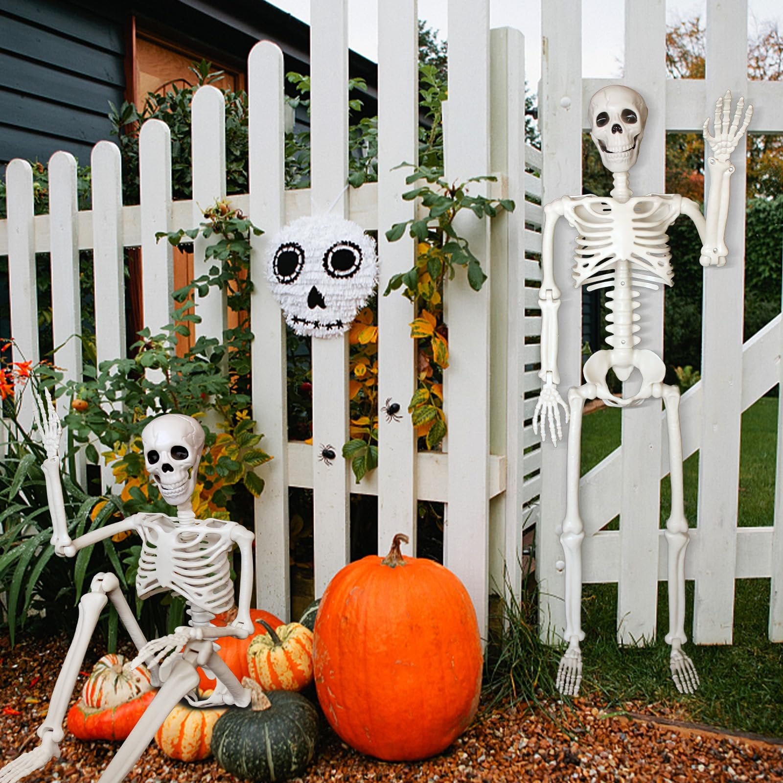 Two posable skeleton Halloween decorations and a skull piñata displayed on a white picket fence with pumpkins and gourds