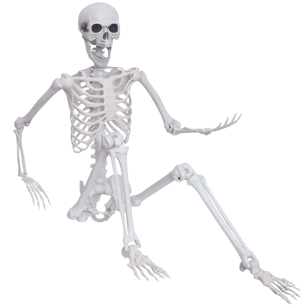 Posable plastic skeleton sitting with arms outstretched against a white background