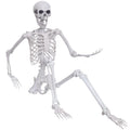 Posable plastic skeleton sitting with arms outstretched against a white background