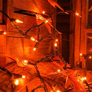 Orange mini string lights with faux fall leaves on green wire, close-up view