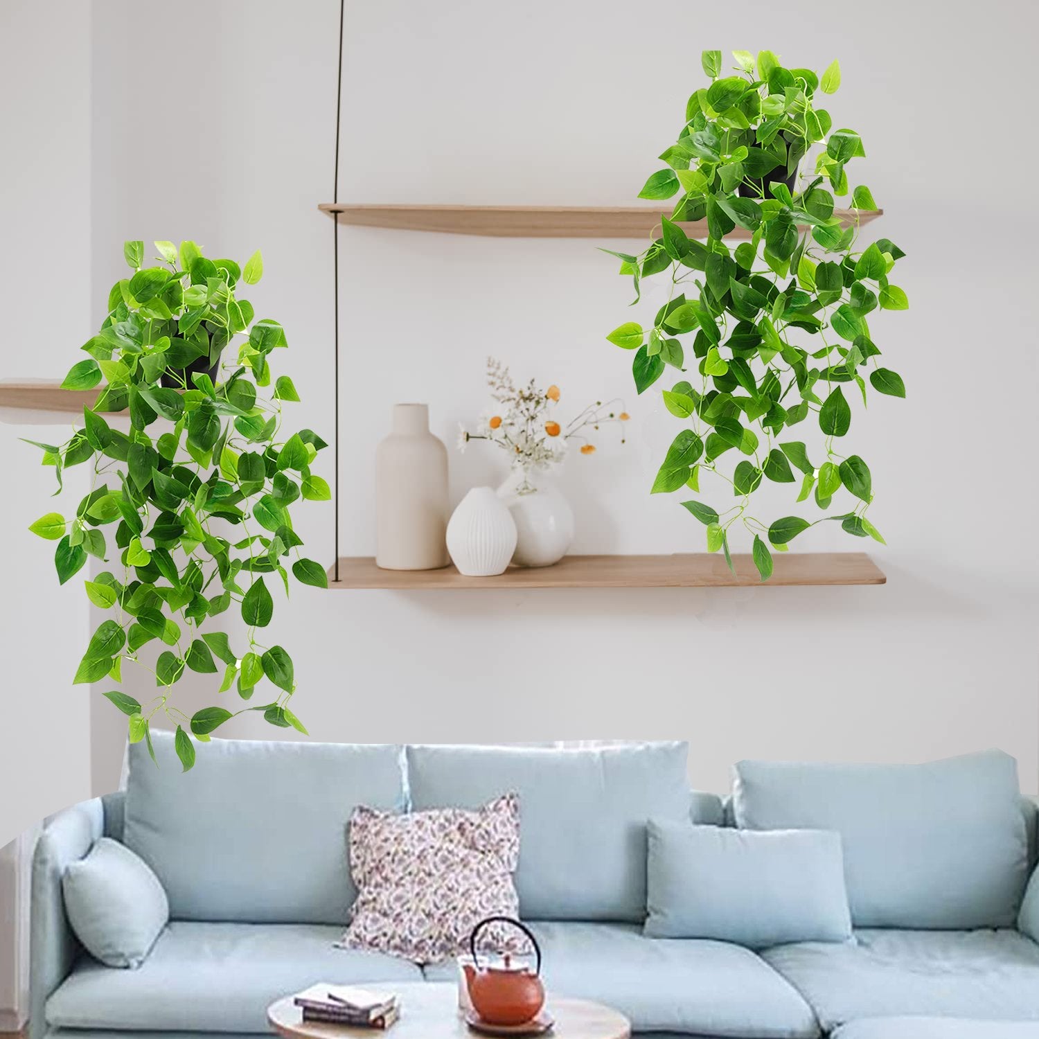 Two artificial hanging plants with green ivy vines in black pots displayed on wall shelves above a light blue sofa.