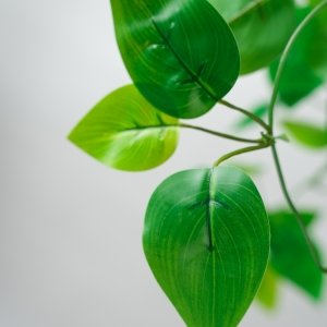 Close-up of artificial ivy hanging vines with green leaves against a white background.