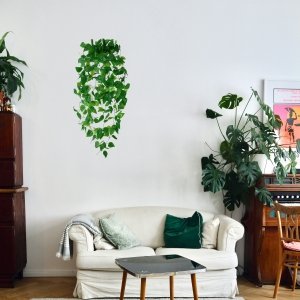 Artificial ivy hanging vines with green leaves displayed on a white wall above a sofa.