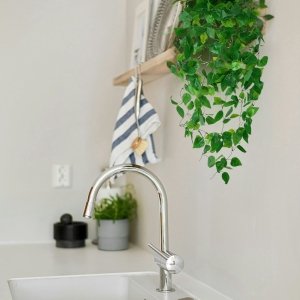 Artificial ivy hanging vines with green leaves draped over a shelf above a kitchen sink and faucet.