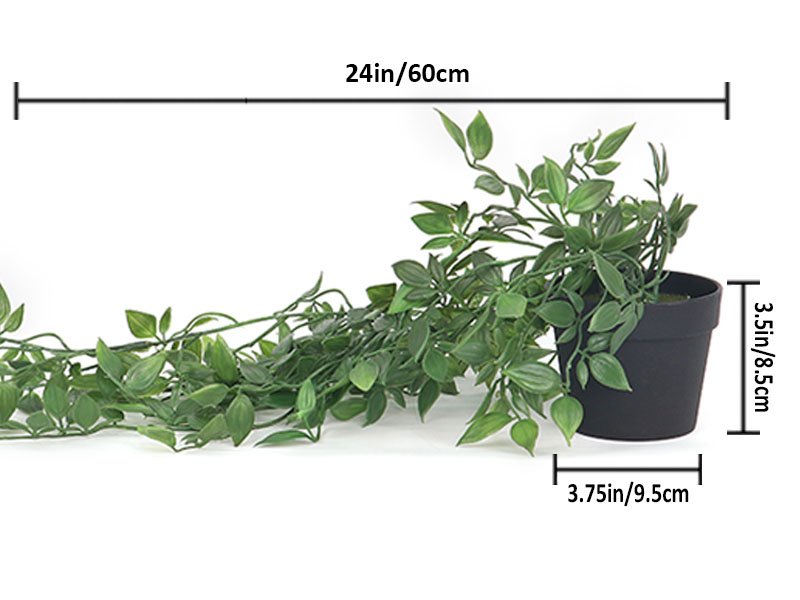 Artificial green vine plant in a black pot with dimensions labeled 24in/60cm length, 3.5in/8.5cm height, 3.75in/9.5cm width.