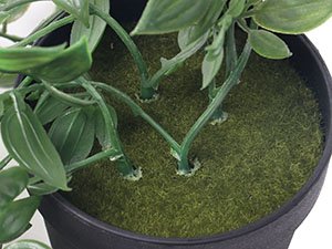 Close-up of artificial mandala vine plant stems emerging from green moss in a black pot.