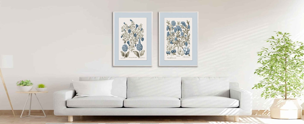 Two framed botanical prints of blue flowers and berries hanging above a white sofa in a bright room.