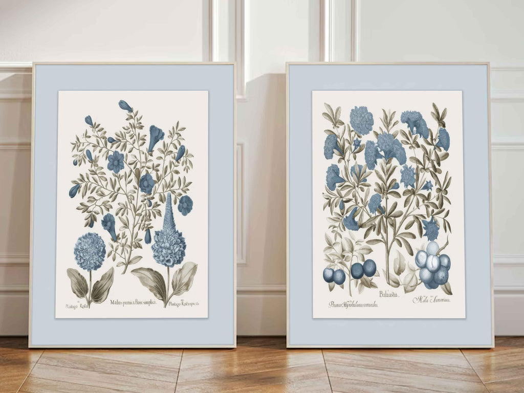 Two framed botanical prints of blue flowers and berries on a light background, displayed on a wooden floor.