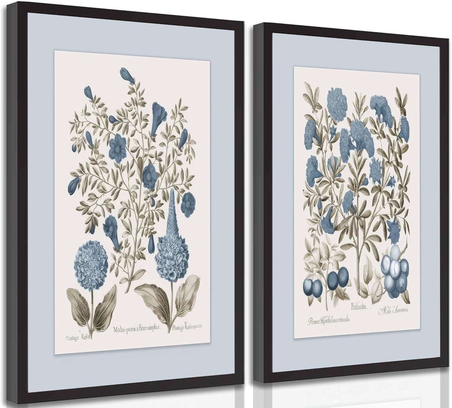 Two framed botanical prints of blue flowers and leaves, one with berries, in sepia tones.