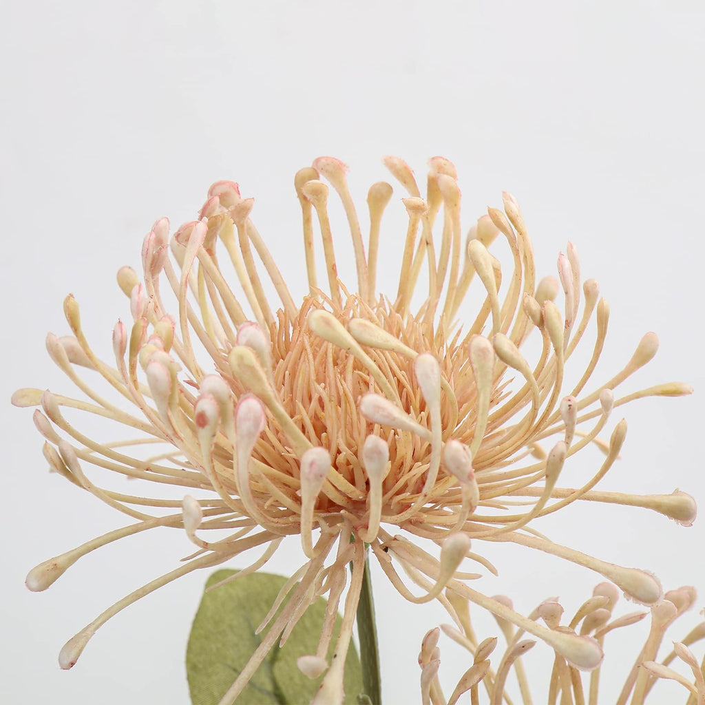 Close-up of a pale pink artificial chrysanthemum flower with delicate petals and long stamens against a white background.