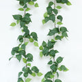 Two strands of artificial green vines with silk leaves against a white background.