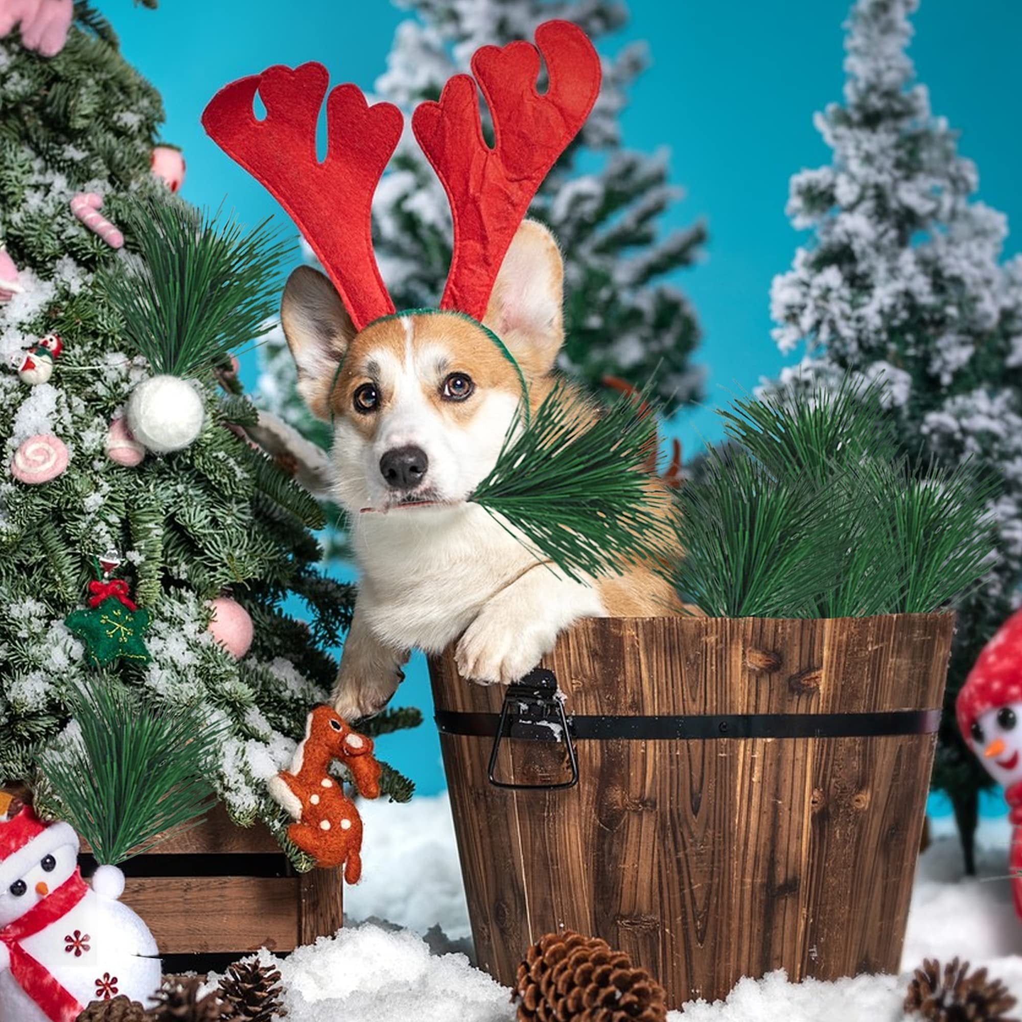 Corgi dog wearing reindeer antlers sits in a wooden bucket surrounded by artificial pine branches and Christmas decorations.