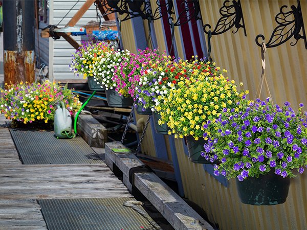 Hanging baskets of colorful artificial flowers displayed on a wooden dock with a watering can nearby.