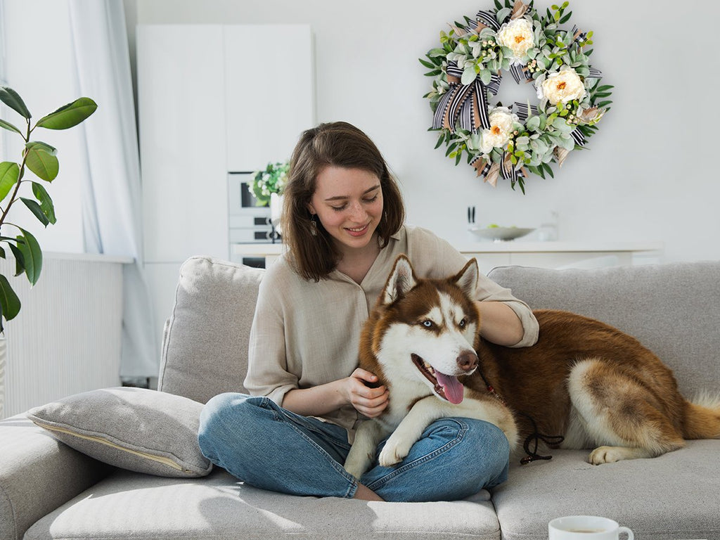 Woman and husky dog on couch with artificial lamb's ear wreath on wall