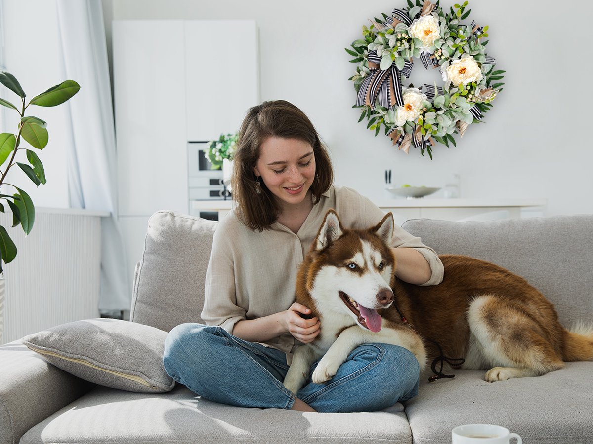 Woman and husky dog on couch with artificial lamb's ear wreath on wall