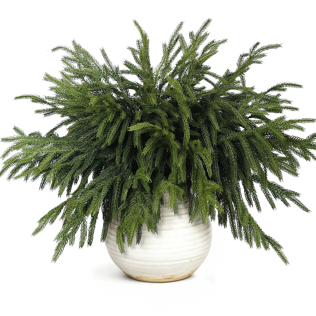 Artificial Norfolk pine branches in a white ceramic pot, isolated on white background.