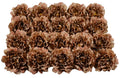 Twenty brown artificial peony flower heads with yellow centers, arranged in rows on a white background.