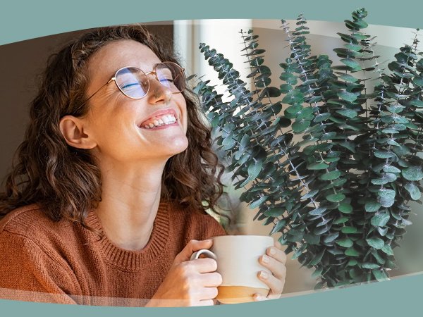 Woman holding a mug and smelling dried eucalyptus stems indoors