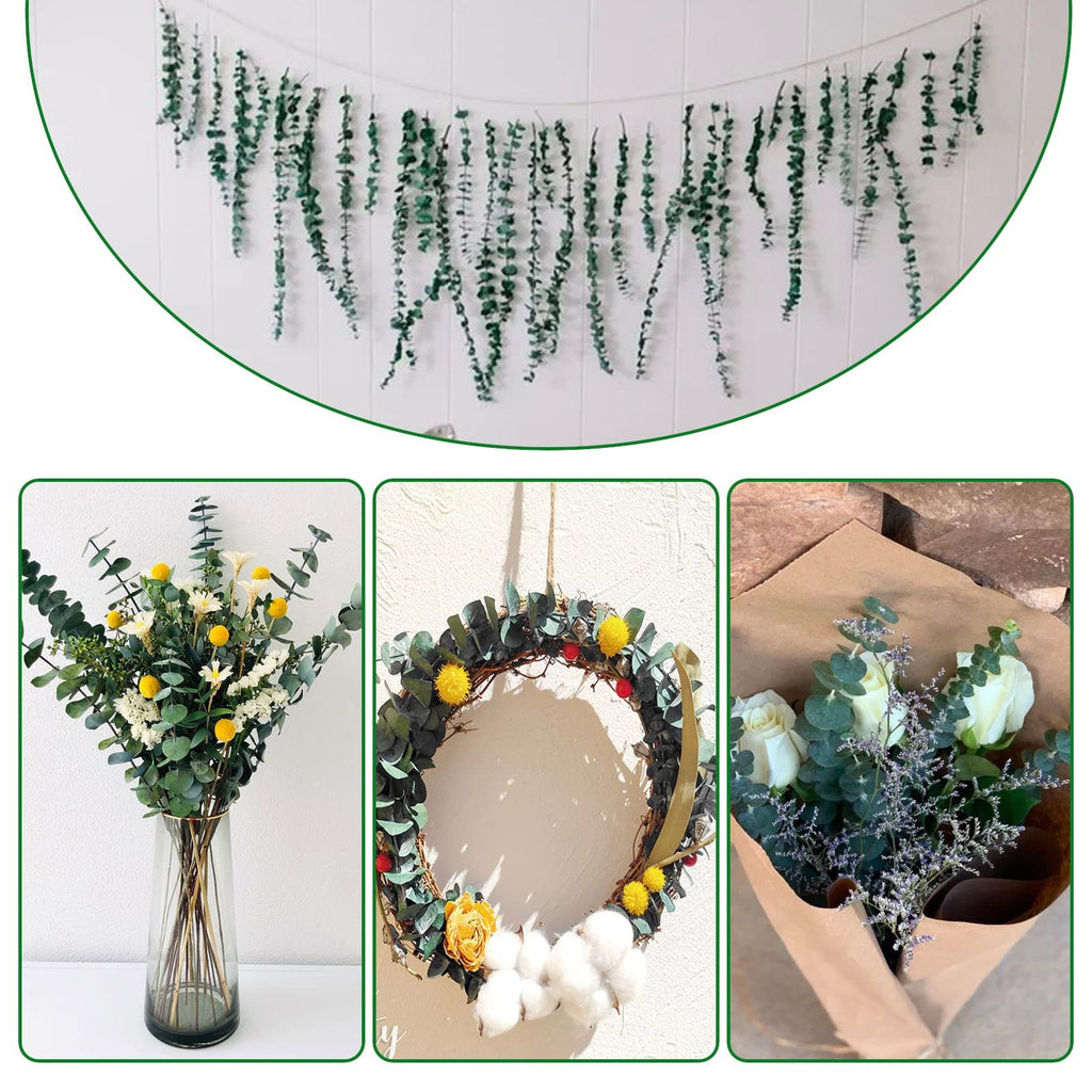 Collage of dried eucalyptus arrangements: garland on wall, bouquet in vase, wreath, and wrapped bouquet.