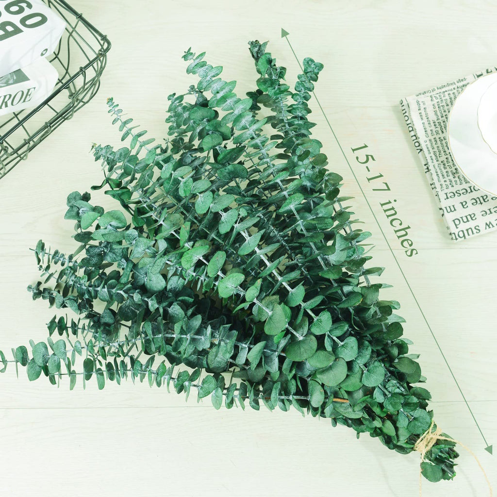 Bundle of 20 preserved dried eucalyptus stems, 15-17 inches long, on a light wood surface with a basket and newspaper in the background.
