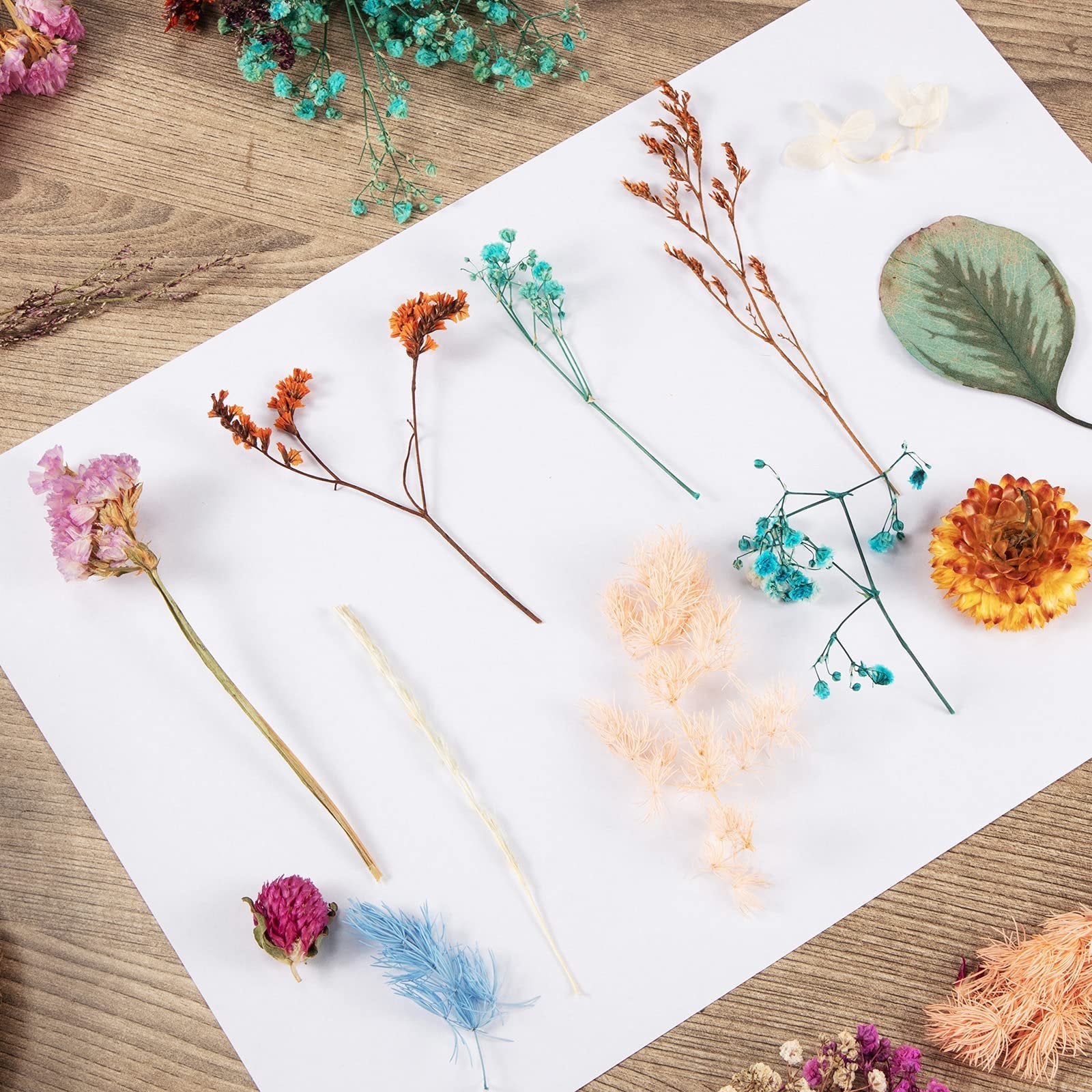 Assortment of natural dried pressed flowers and leaves arranged on white paper and wooden surface