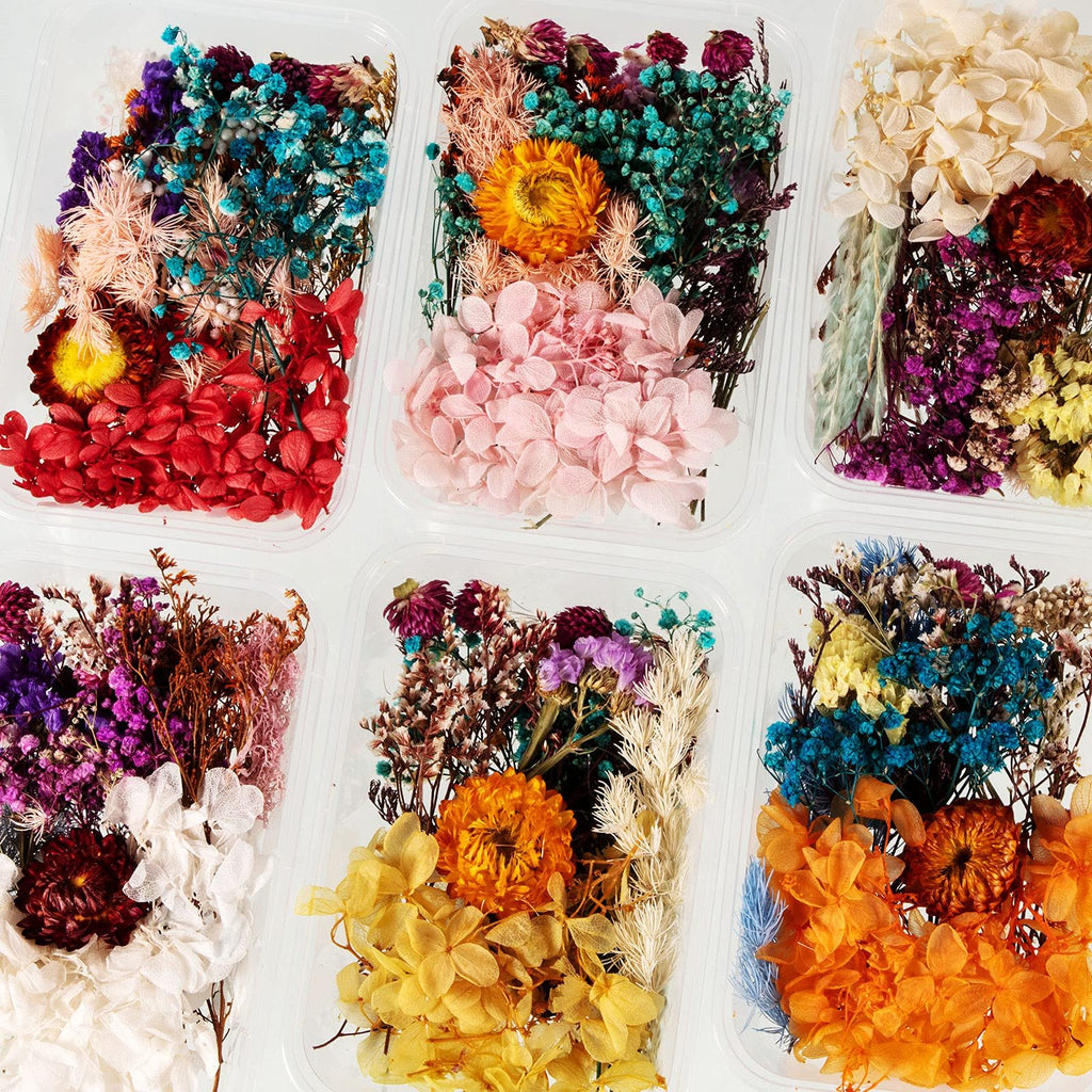 Six clear plastic containers filled with assorted colorful dried pressed flowers and leaves, arranged by color.