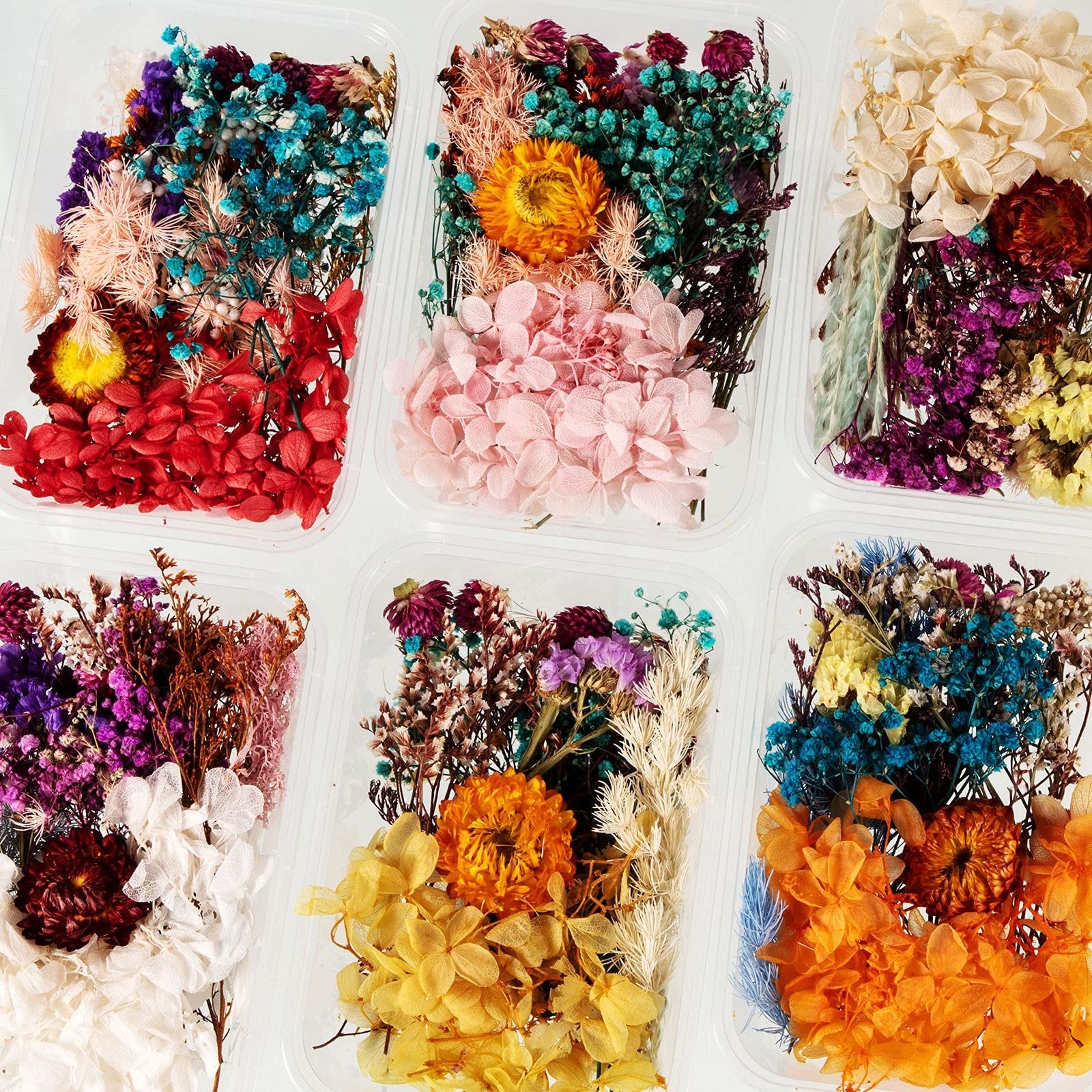 Six clear plastic containers filled with assorted colorful dried pressed flowers and leaves, arranged by color.