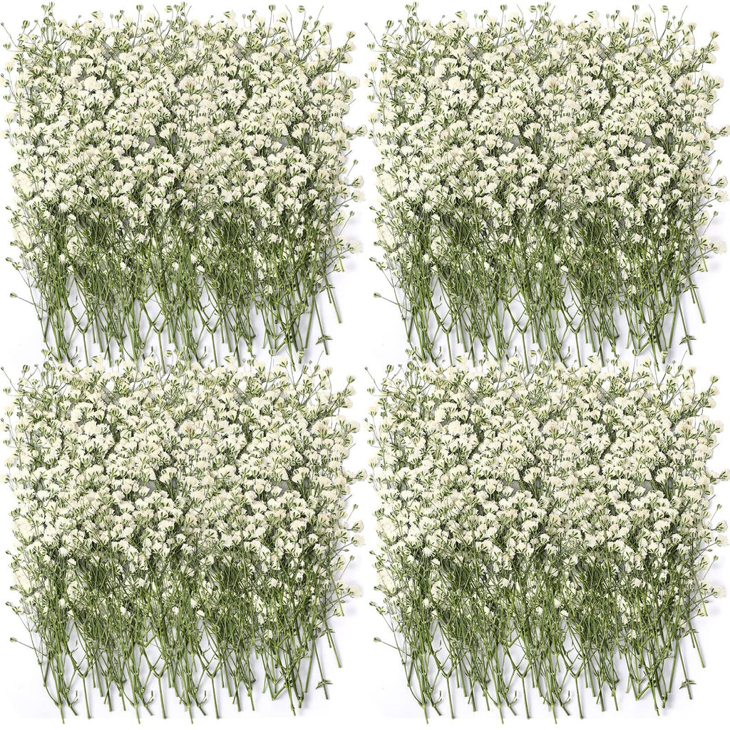 Four bunches of dried white baby's breath flowers arranged on a white background.