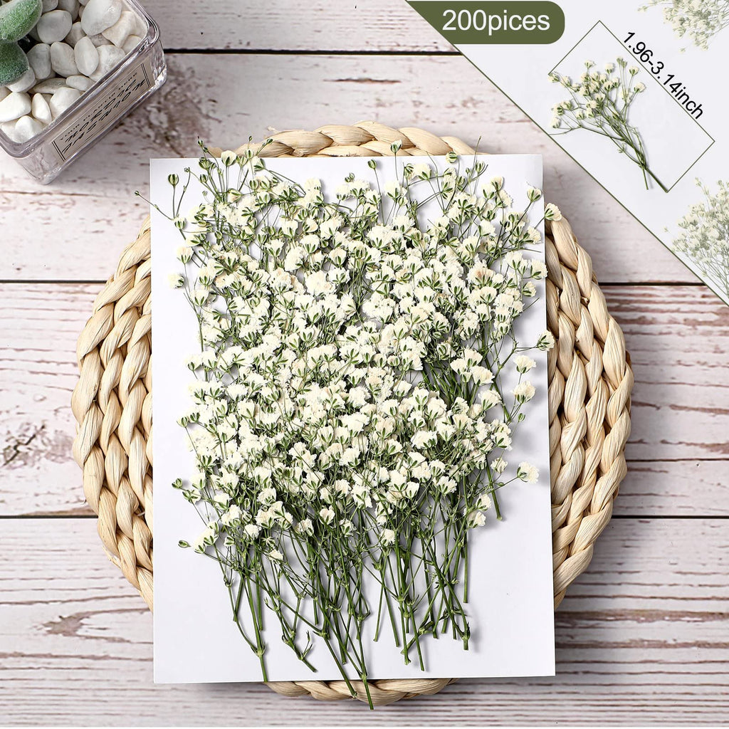 Mini dried white baby's breath flowers arranged on white paper, top view. A woven placemat and wooden background are visible.
