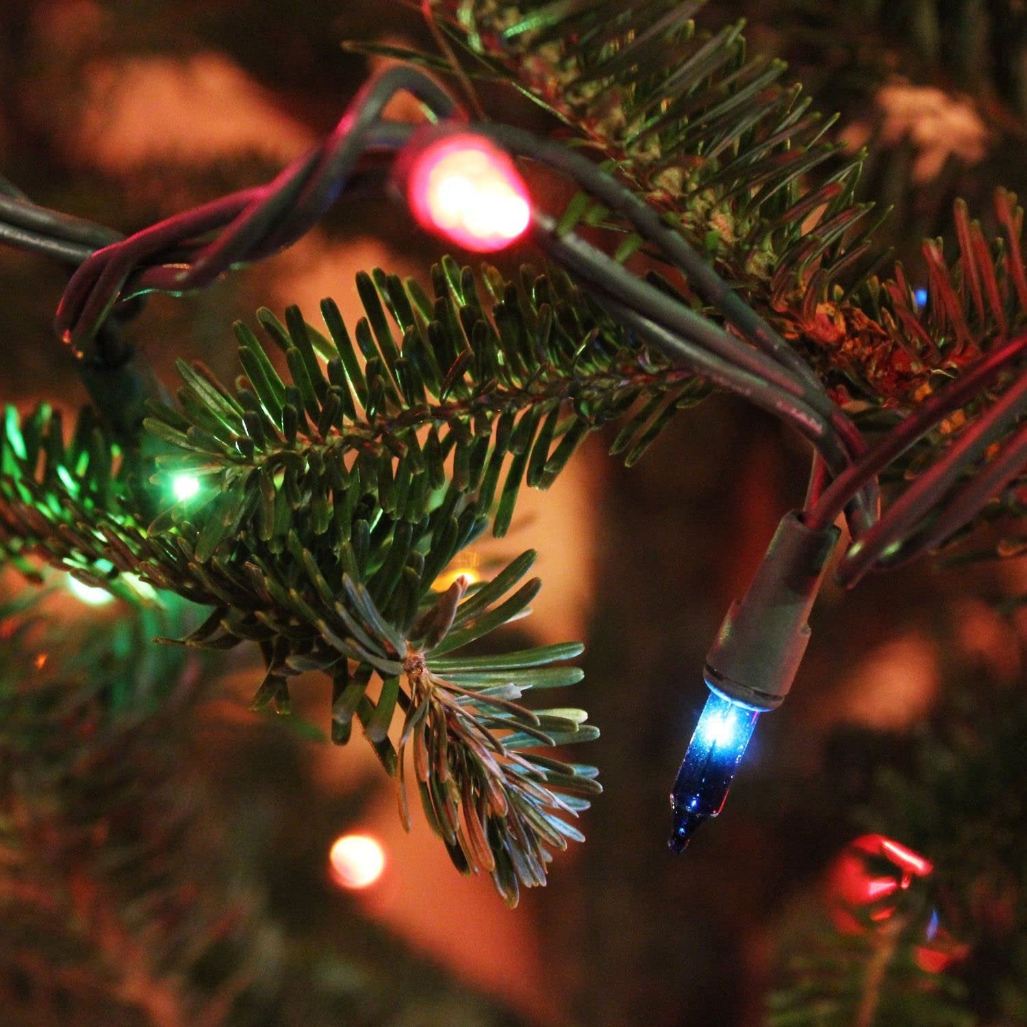 Close-up of multi-colored incandescent mini string lights on a Christmas tree branch.