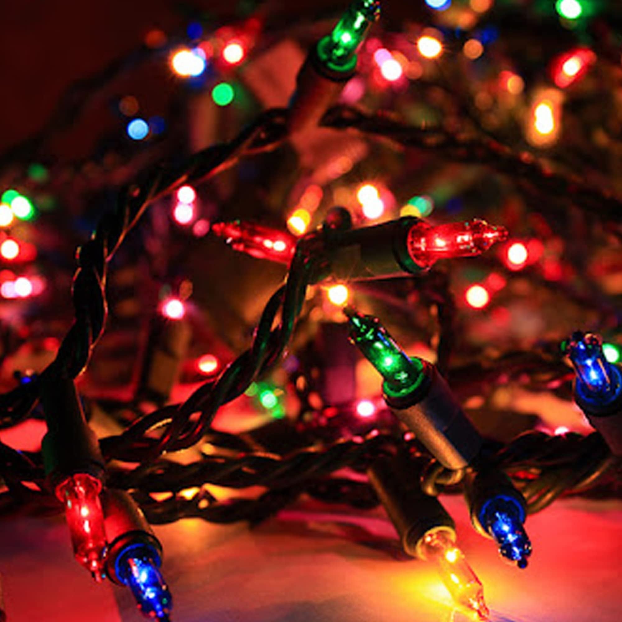 Close-up of multi-colored incandescent mini string lights with green wire, showing red, green, blue, and yellow bulbs.