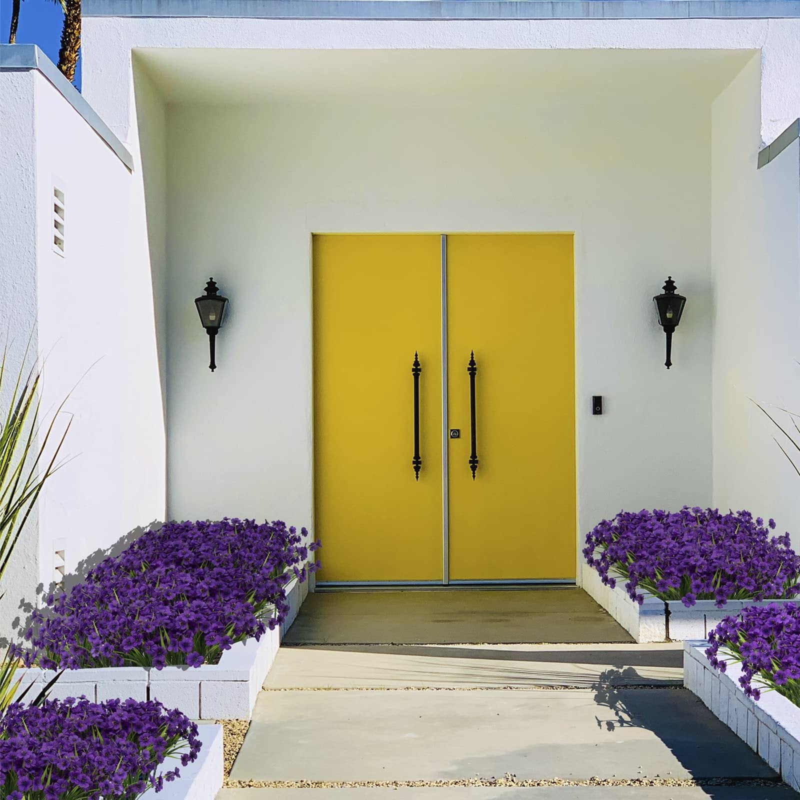Purple artificial flowers in white planters flanking a yellow double door entrance to a modern home.