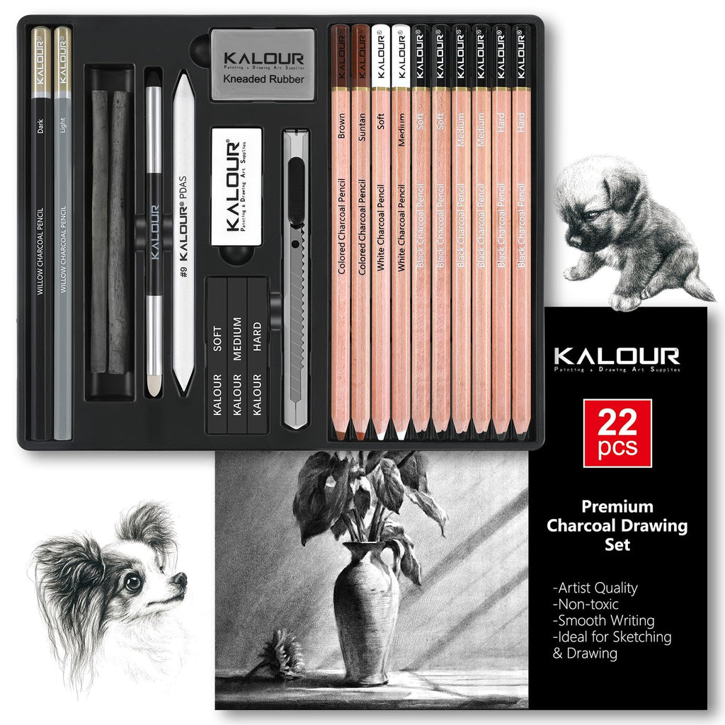 Charcoal drawing set with pencils, sticks, and erasers in a case, plus charcoal sketches of a dog and a vase of plants.