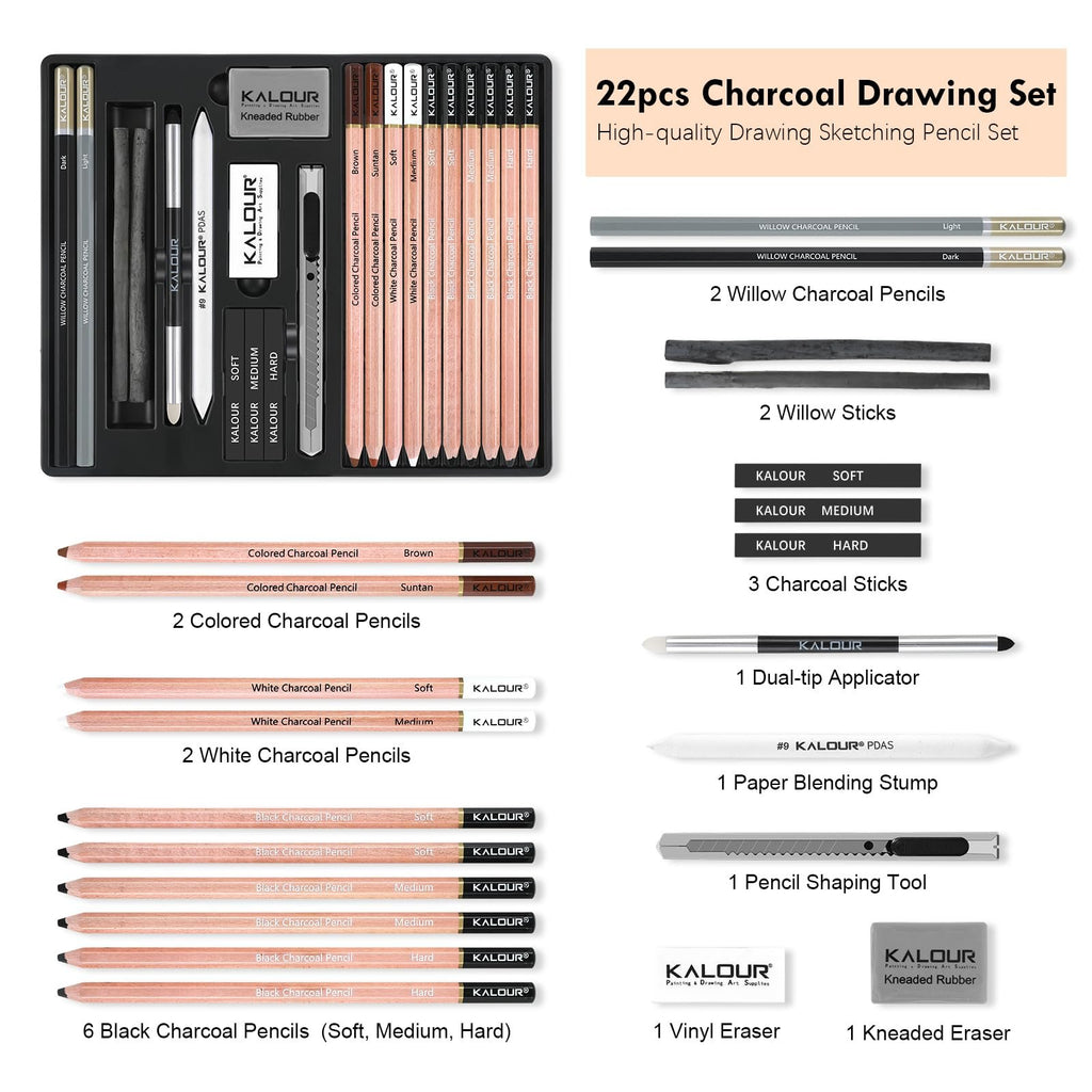 Charcoal drawing set laid out with pencils, sticks, erasers, sharpener, and blending tools. Includes colored, white, and black charcoal pencils.