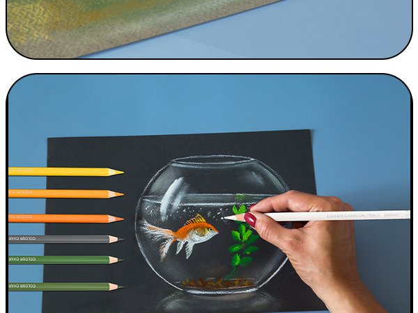 Hand drawing a goldfish in a bowl on black paper with pastel charcoal pencils