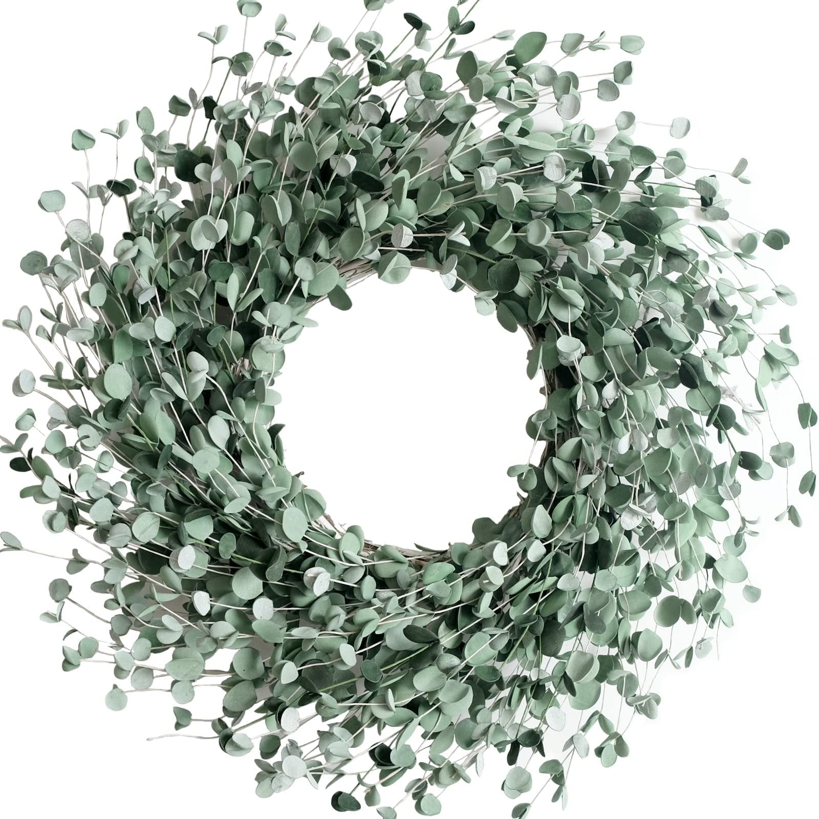 24 inch boxwood wreath with soft touch green leaves on a white background, front view