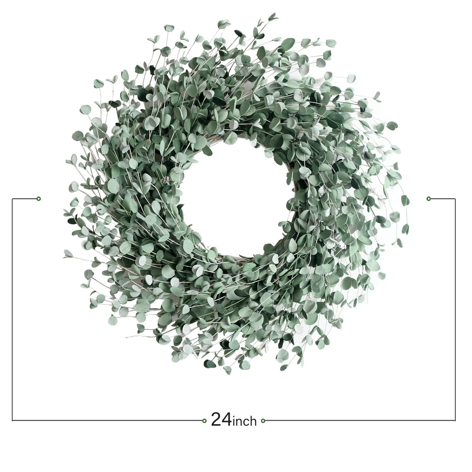 24 inch boxwood wreath with soft touch green leaves on a white background, showing diameter measurement.