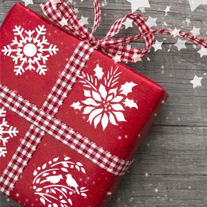 Christmas gift wrapped in red paper with white snowflake, poinsettia, and bird stencils, tied with gingham ribbon.