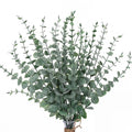 Bunch of artificial eucalyptus stems with frosty gray-green leaves in a glass vase tied with twine