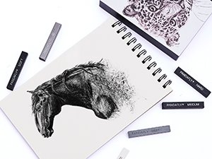 Drawing set with charcoal sticks and a sketchbook featuring a horse sketch, surrounded by charcoal sticks.