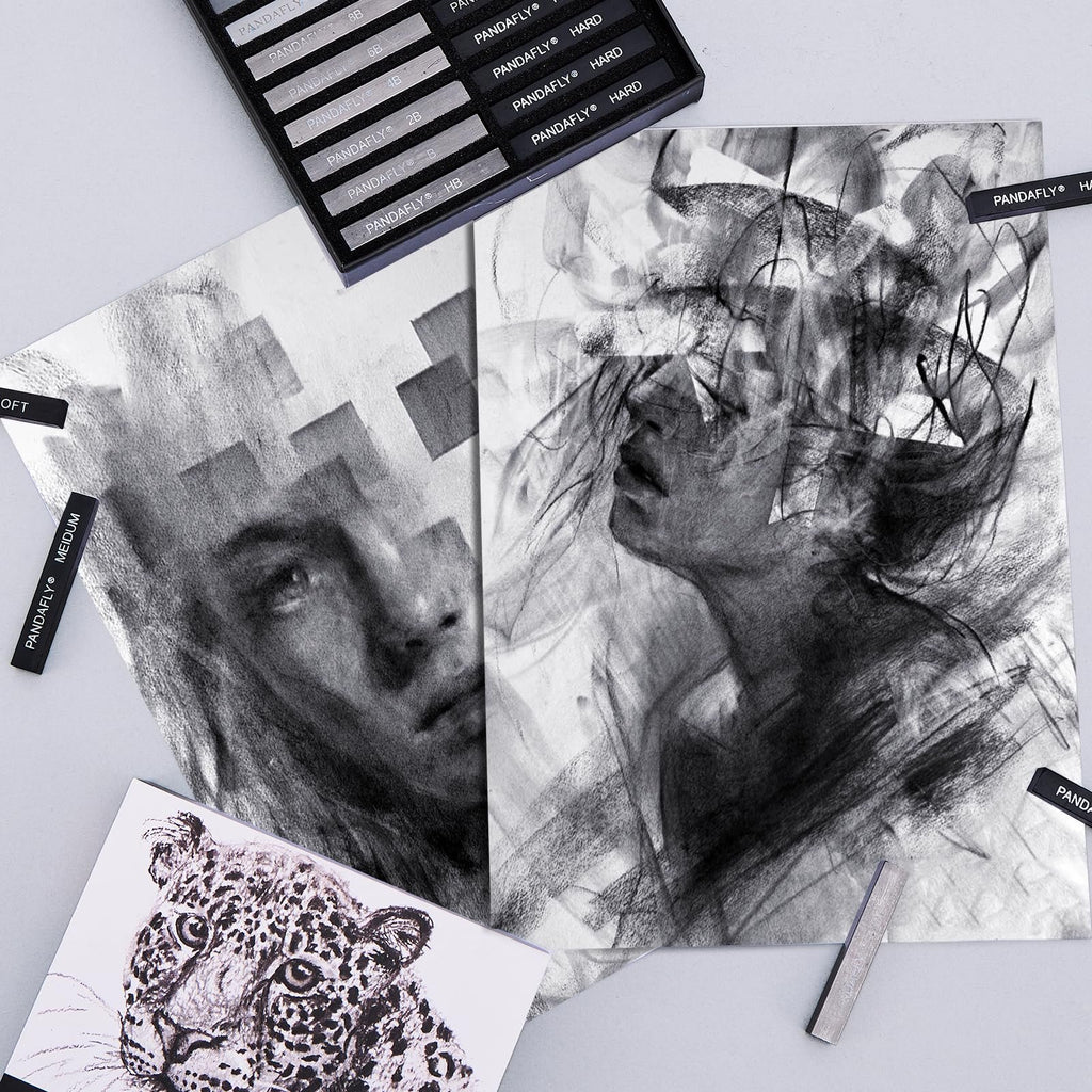 Charcoal drawing sticks and charcoal art pieces including portraits and a leopard.