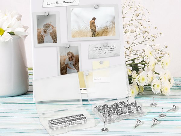 Silver magnetic push pins and neodymium magnets in clear cases, displayed with photos and flowers.