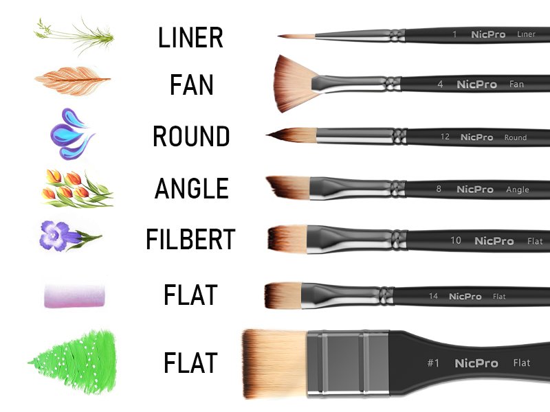 Various paint brushes labeled by type: Liner, Fan, Round, Angle, Filbert, and two Flat brushes, each with branding.