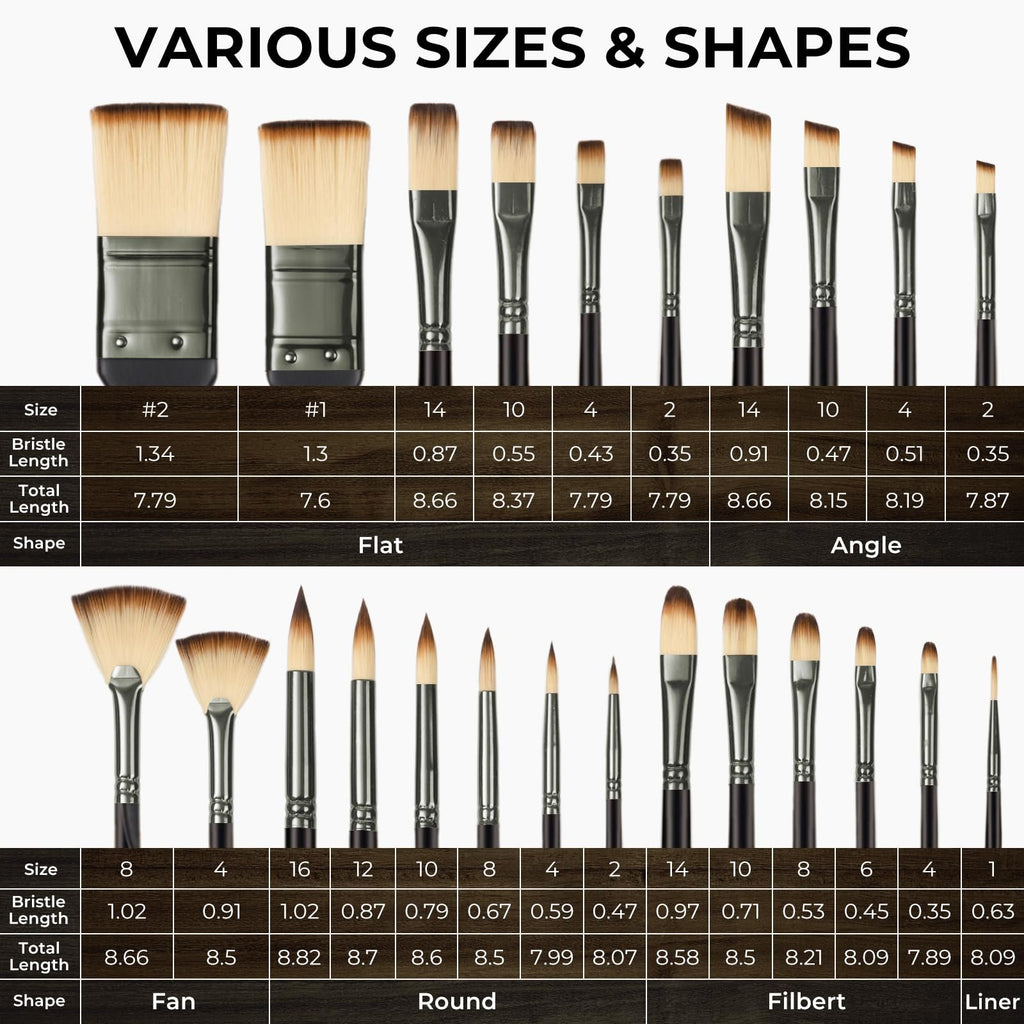 Paint brushes displayed by size, shape, bristle length, and total length, with flat, angle, fan, round, filbert, and liner shapes shown.