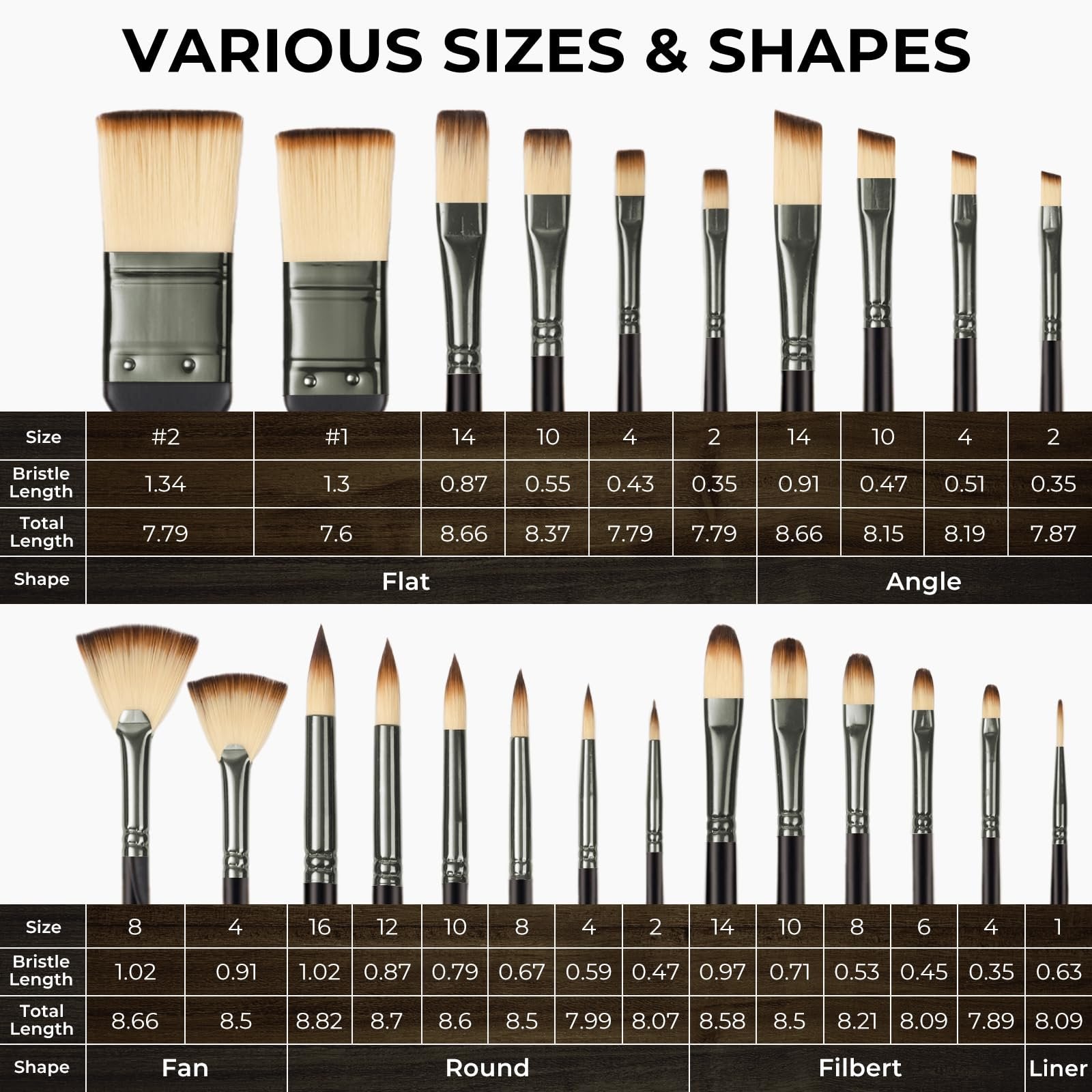 Paint brushes displayed by size, shape, bristle length, and total length, with flat, angle, fan, round, filbert, and liner shapes shown.