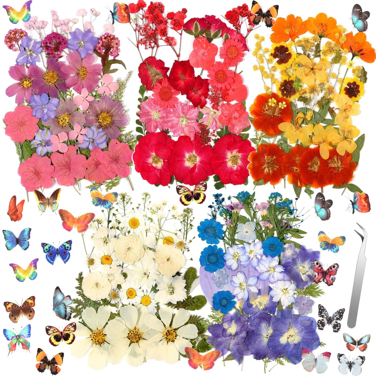 Assortment of dried pressed flowers in various colors including pink, red, orange, yellow, white, blue, and purple, with decorative butterfly stickers and a pair of tweezers.